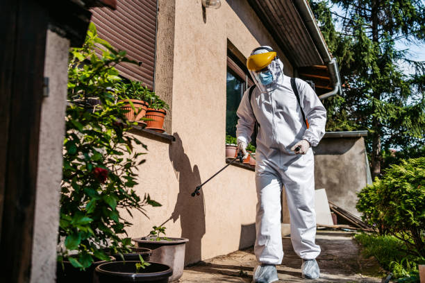 Best Pest Inspection Near Me  in Demorest, GA
