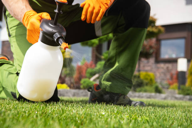 Best Commercial Pest Control Services  in Demorest, GA