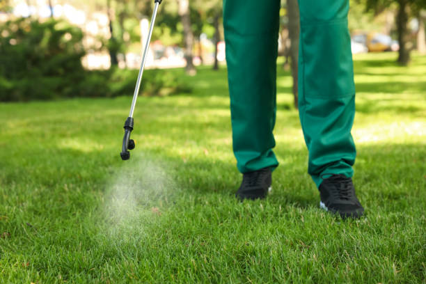 Best Best Pest Control Companies  in Demorest, GA