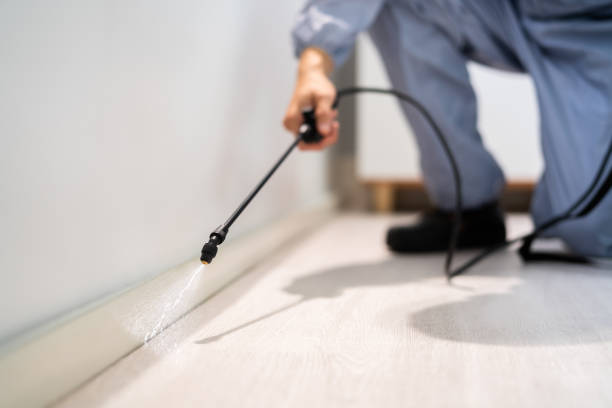 Professional Pest Control in Demorest, GA