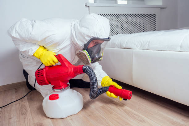 Best Local Pest Control Services  in Demorest, GA