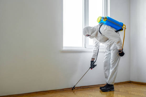 Best Pest Control Treatment  in Demorest, GA