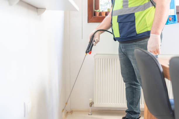 Best Ant Control Services  in Demorest, GA
