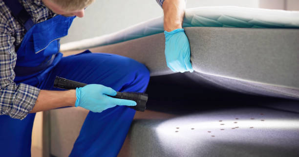 Best Residential Pest Control  in Demorest, GA