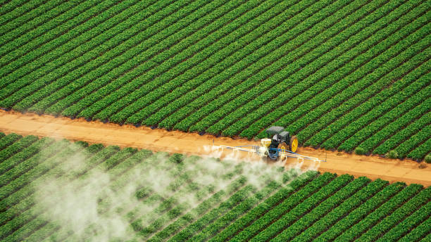 Best Exterminator Services  in Demorest, GA