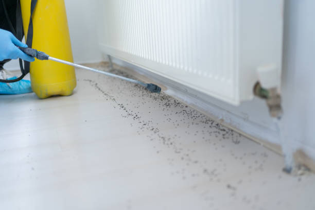 Best Pest Removal Services  in Demorest, GA