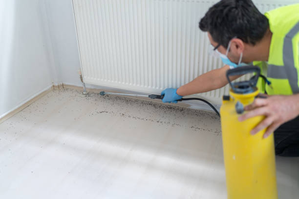Best Pest Inspection Near Me  in Demorest, GA