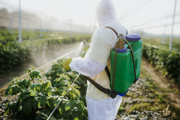 Best Local Pest Control Services  in Demorest, GA
